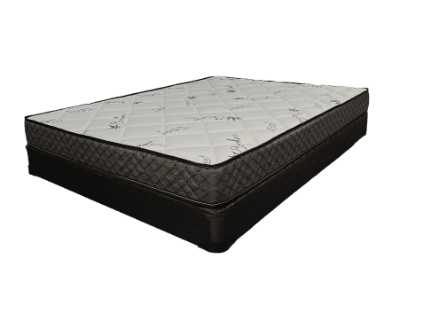 Dreamopedic Tight Top Mattress - Furniture King
